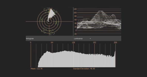 Video Scopes