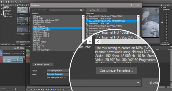 Schritt 2: Auswahl Ihrer Renderformat-Eigenschaften