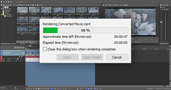 Step 4: Render