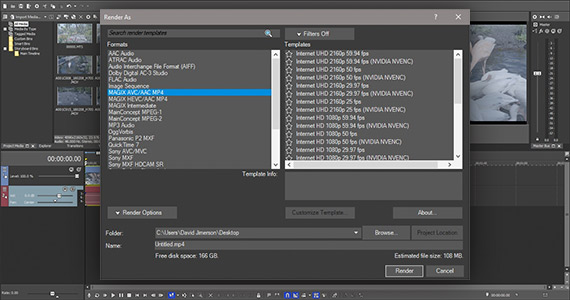 Schritt 2: Auswahl Ihrer Renderformat-Eigenschaften