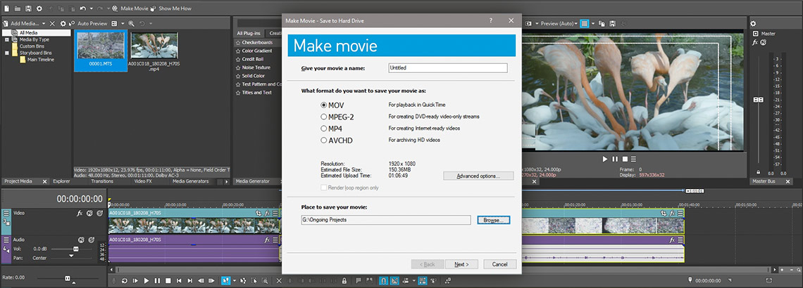 Step 4: Render Video